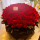 520朵红玫瑰花束