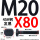 M20X80【45#钢T型】