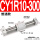 CY1R10-300