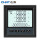 PD666-2S3经济型LCD显示72*72