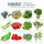 12种蔬菜种子套餐+工具+2包肥