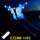 夜光蓝蝴蝶风筝+100米线板