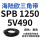 SPB 1250/5V490