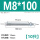 M8*100(10只)