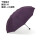紫色双人伞直径110