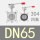 304四氟 DN65