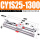 CY1S25X1300