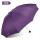 碰击布深紫色双人伞-直径113cm