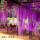 紫穗藤