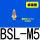 标准型BSL-M5_接口M5