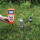 TZS-2X-G多参数土壤水分记录仪
