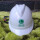 V型ABS安全帽国网标(白色)