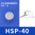 HSP-40