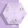 2紫色#泰迪-三折款