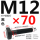 M12*70mm