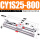 CY1S25X800
