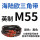 M55