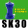 SK-30带1只PC8-G02和消声器1分