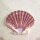 扁平 木纹色海扇贝8-10cm