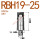 RBH19-25