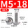 M5/18 (20个/头径10.6)