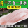 2502g 【10片装】龙利鱼片