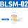 BSLM-02