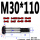 M30*110（1支）
