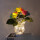 彩虹色花朵(无极调光+玻璃花瓶)