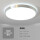 单铝50CM-LED白光