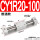 CY1R20-100