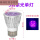 紫光 5W 单灯泡