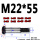 M22*55（1支）