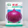 紫盛紫皮洋葱种子 10克/袋