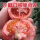 西红柿苗
