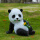 躺姿吃竹小熊猫 7335-4