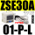 ZSE30A-01-P-L
