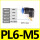 PL 6-M5