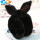 兔耳折叠中黑色