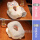 奶咖猫【午睡枕+灰毯子1×1.7米c