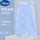 六层纱-蓝雨点云(21-27℃)