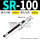 SR100 带安装块