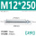 M12*250(2只)