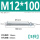M12*100(5只)