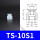 TS-10S1