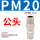 30件公头PM20