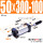 SCJ50X300-100