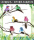 L22:6只小鸟（6个颜色每色1只）
