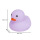 紫色8号鸭5只