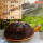 安缘龟-种龟（1-1.2斤）